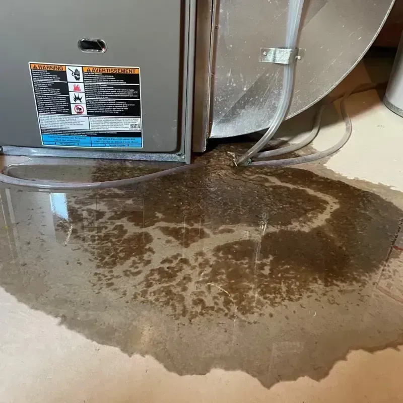 Appliance Leak Cleanup in Clarence Center, NY