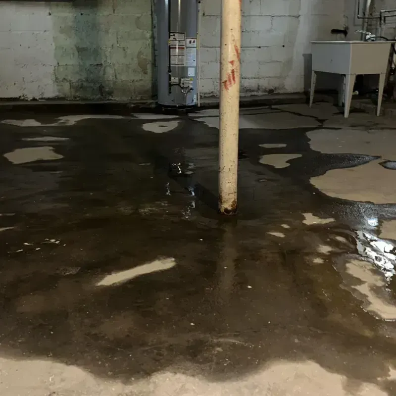 Emergency Water Extraction And Removal in Clarence Center, NY